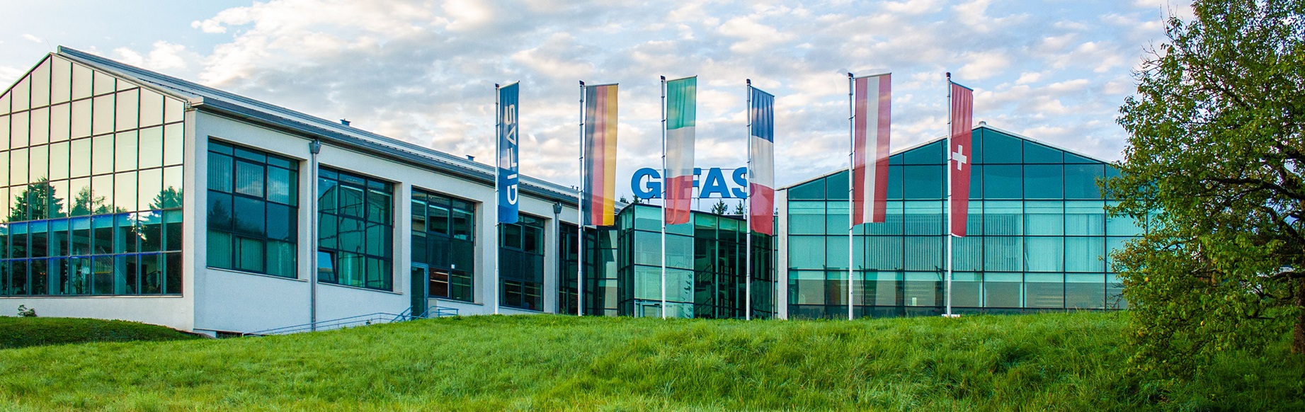 Gifas